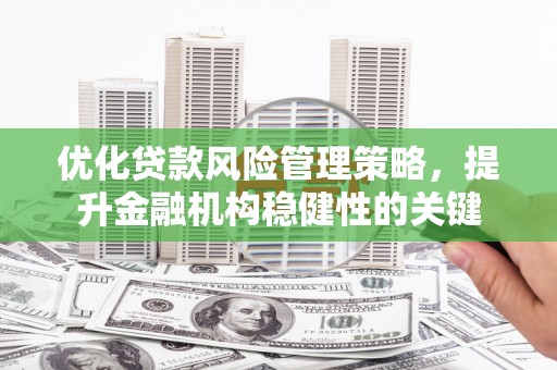 澄城优化贷款风险管理策略，提升金融机构稳健性的关键