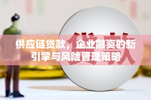 澄城供应链贷款，企业融资的新引擎与风险管理策略