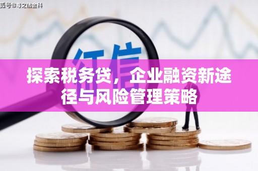 澄城探索税务贷，企业融资新途径与风险管理策略