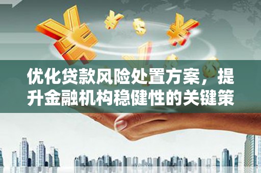 澄城优化贷款风险处置方案，提升金融机构稳健性的关键策略