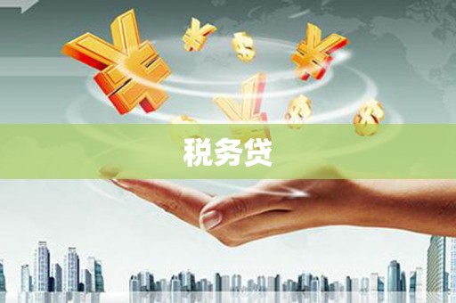 澄城税务贷