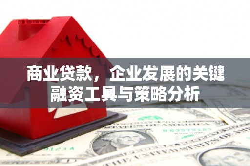 澄城商业贷款，企业发展的关键融资工具与策略分析