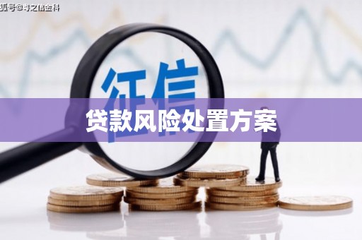 澄城贷款风险处置方案
