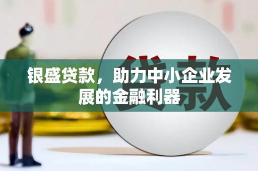 澄城银盛贷款，助力中小企业发展的金融利器