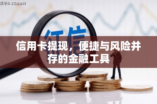 澄城信用卡提现，便捷与风险并存的金融工具