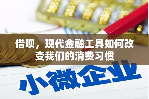 澄城借呗，现代金融工具如何改变我们的消费习惯