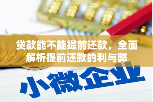 澄城贷款能不能提前还款，全面解析提前还款的利与弊