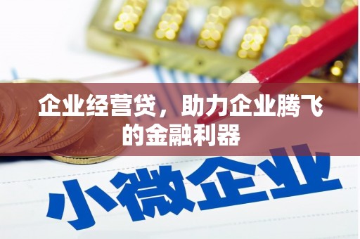 澄城企业经营贷，助力企业腾飞的金融利器
