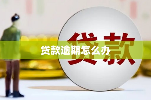 澄城贷款逾期怎么办