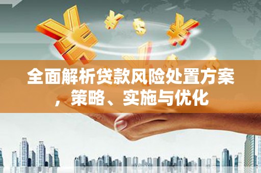 澄城全面解析贷款风险处置方案，策略、实施与优化