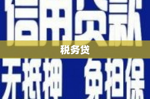 澄城税务贷