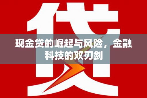 澄城现金贷的崛起与风险，金融科技的双刃剑