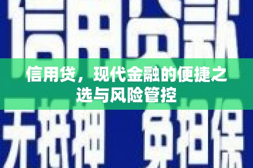 澄城信用贷，现代金融的便捷之选与风险管控