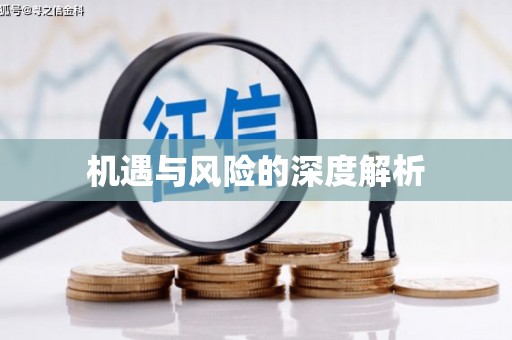 澄城机遇与风险的深度解析