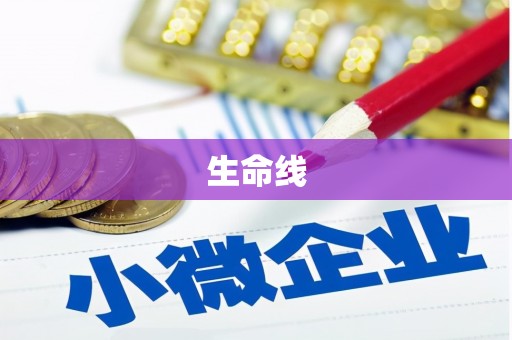 澄城生命线