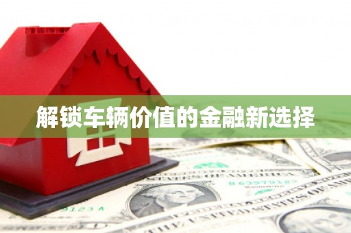 澄城解锁车辆价值的金融新选择