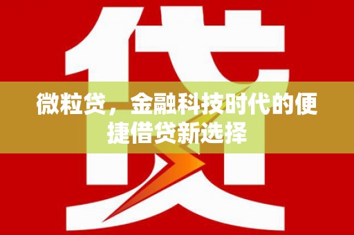 澄城微粒贷，金融科技时代的便捷借贷新选择