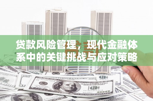 澄城贷款风险管理，现代金融体系中的关键挑战与应对策略