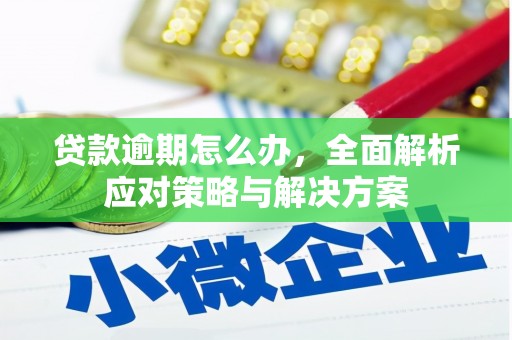 澄城贷款逾期怎么办，全面解析应对策略与解决方案