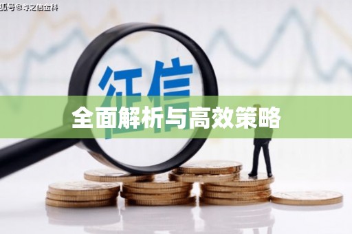 澄城全面解析与高效策略