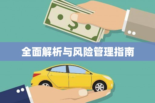 澄城全面解析与风险管理指南