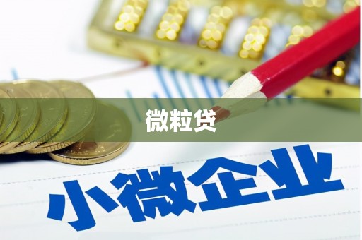 澄城微粒贷