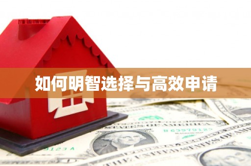 澄城如何明智选择与高效申请