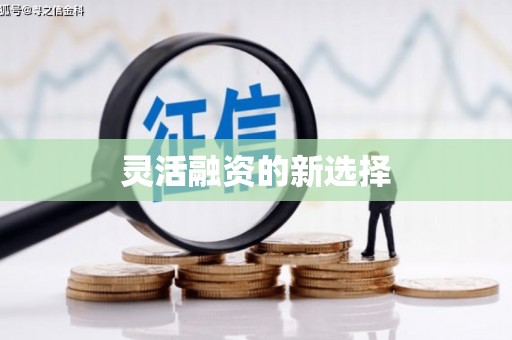 澄城灵活融资的新选择