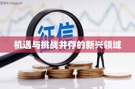 澄城机遇与挑战并存的新兴领域