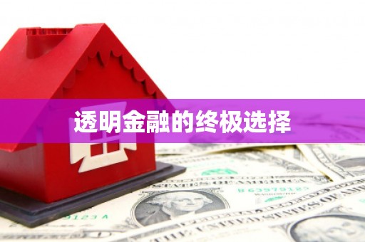 澄城透明金融的终极选择