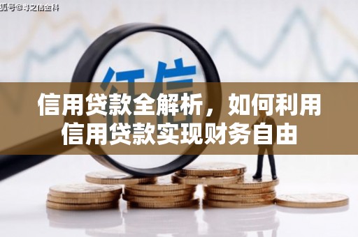 澄城信用贷款全解析，如何利用信用贷款实现财务自由