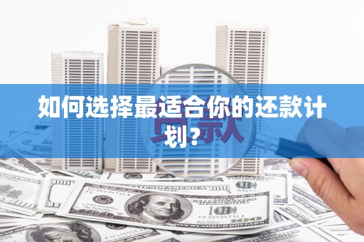 澄城如何选择最适合你的还款计划？